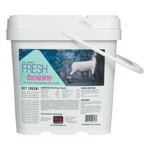 Fresh and Feminine for Show Lambs Sullivan Supply